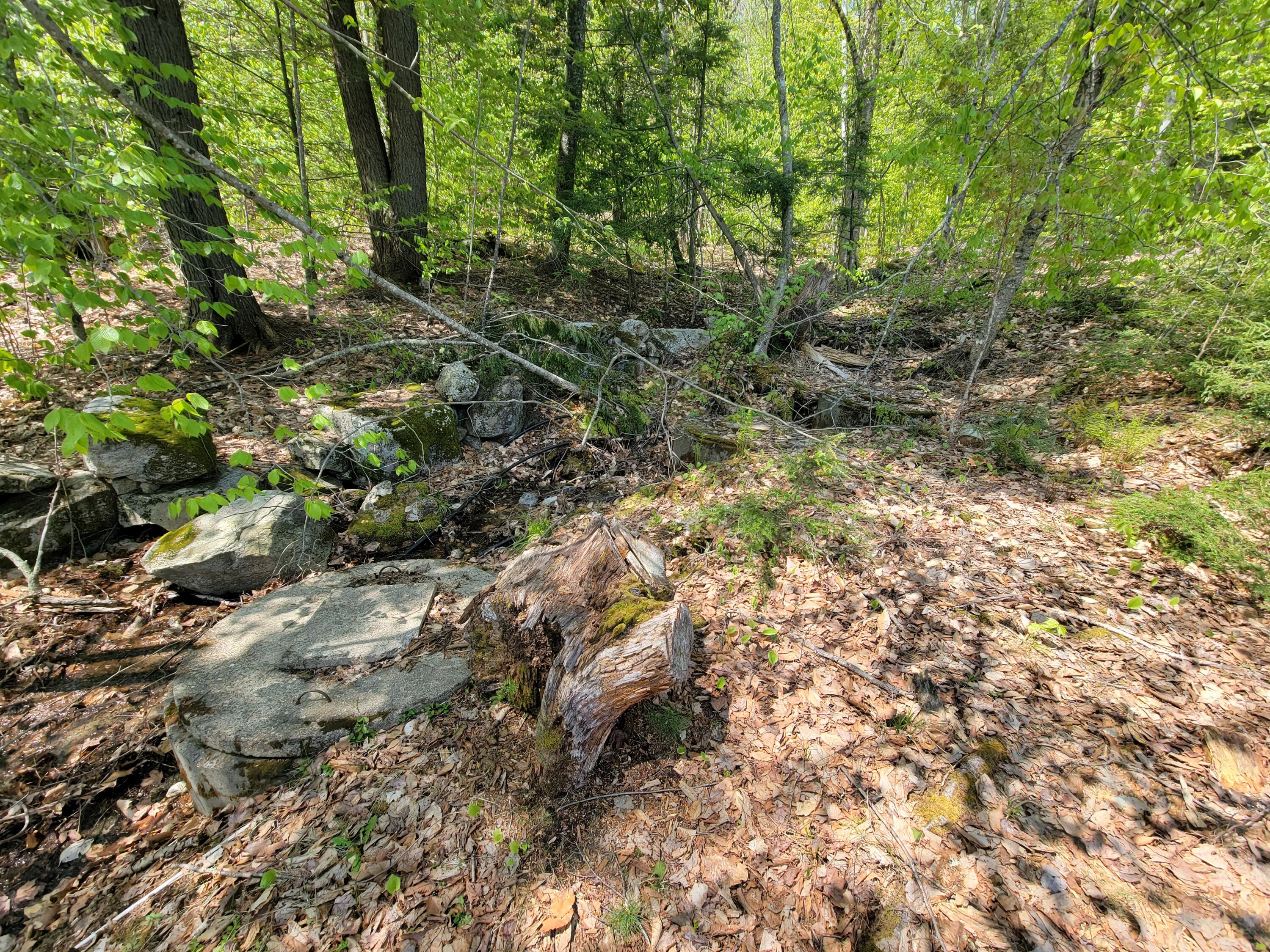 67 Island View Greene, ME 04236 - Photo 8 of 44 20230510_112648