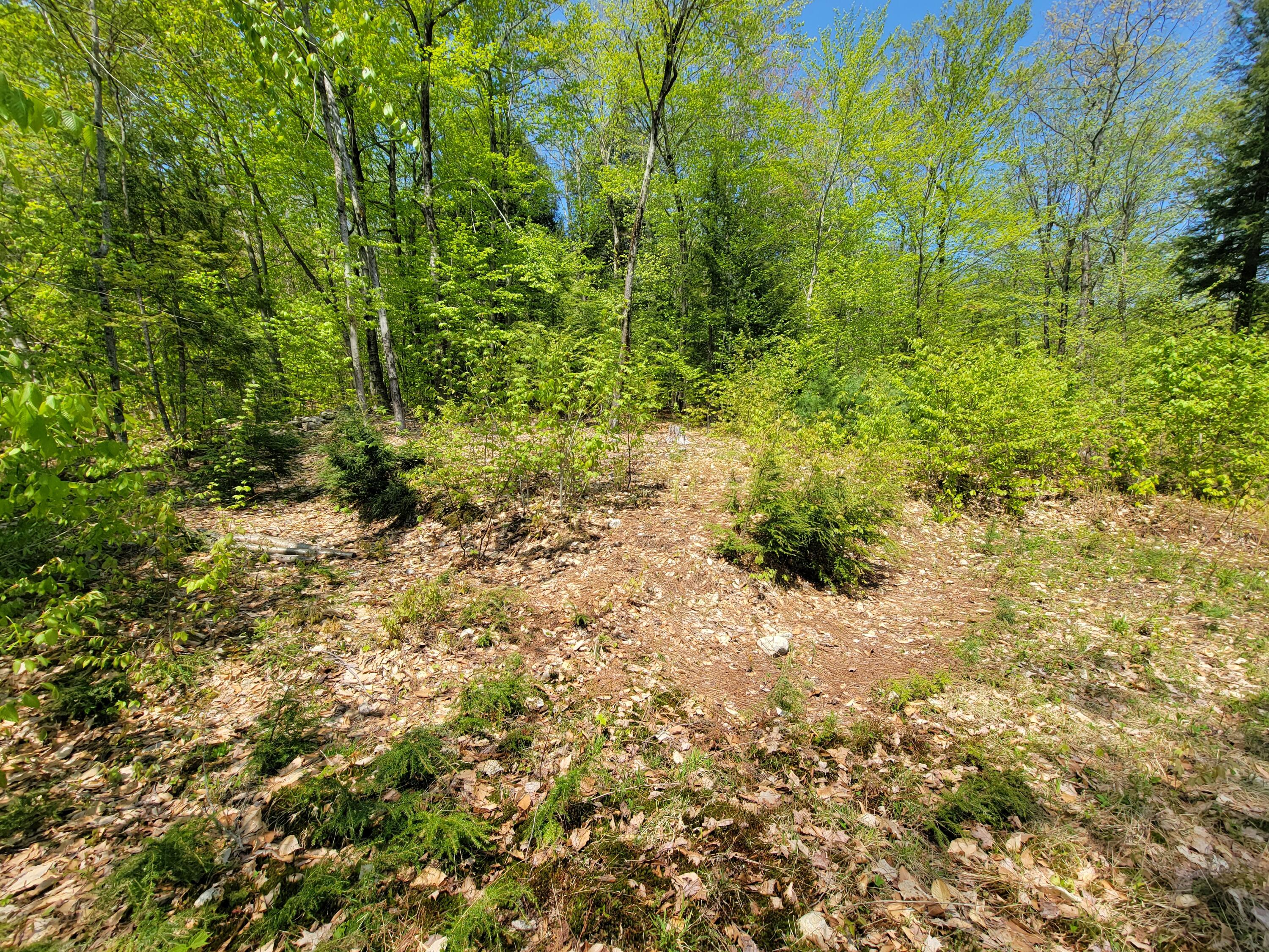 67 Island View Greene, ME 04236 - Photo 9 of 44 20230510_112658