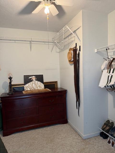 5123 Windmill Place Evans, GA 30809 - Photo 39 of 75 Closet 1