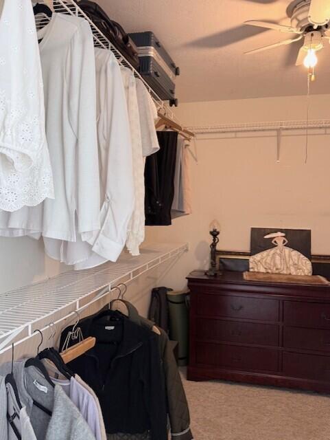 5123 Windmill Place Evans, GA 30809 - Photo 40 of 76 Closet 2