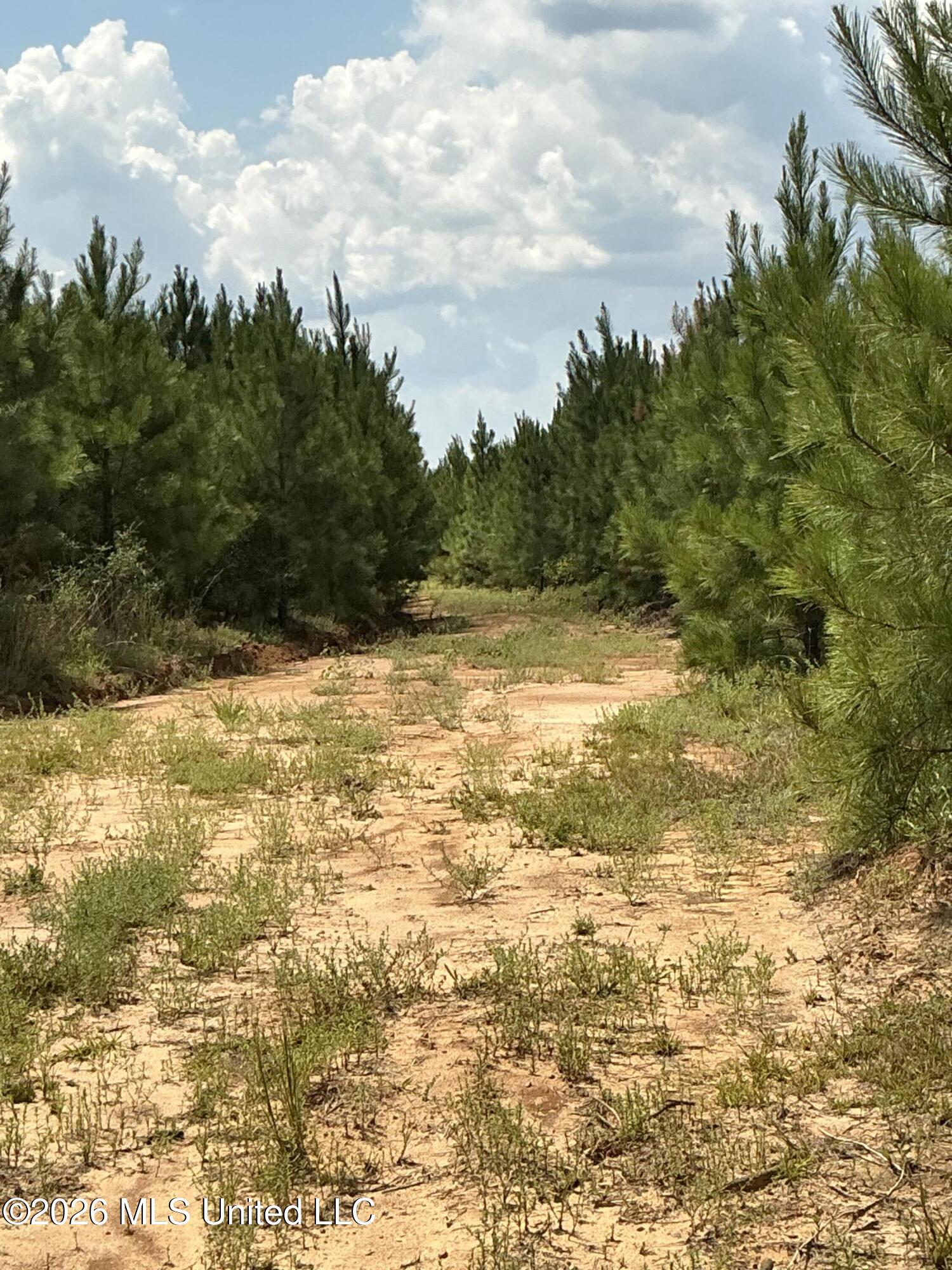 Smithtown Road Tylertown, MS 39667 - Photo 11 of 18 IMG_0013