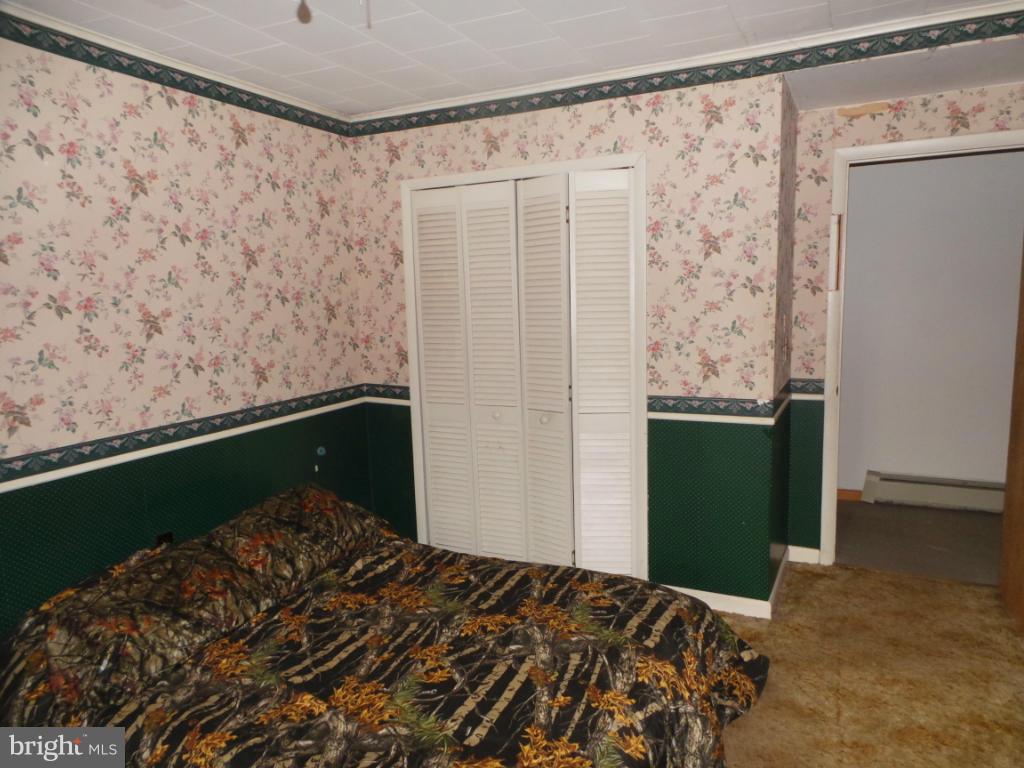 566 Johnsons Mill Road Berkeley Springs, WV 25411 - Photo 16 of 29 Bedroom (Master)