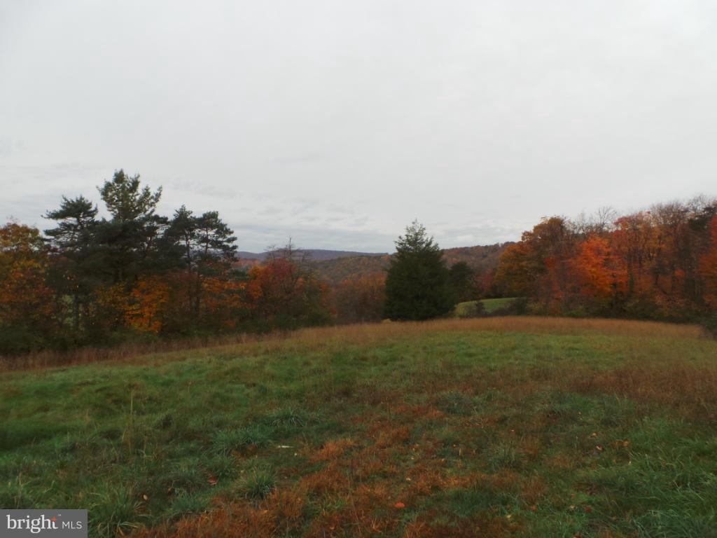 566 Johnsons Mill Road Berkeley Springs, WV 25411 - Photo 21 of 29 View