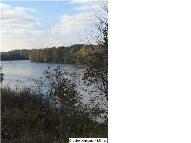 0 Highway 77, Unit 24 AC Ohatchee, AL 36271 - Photo 6 of 13