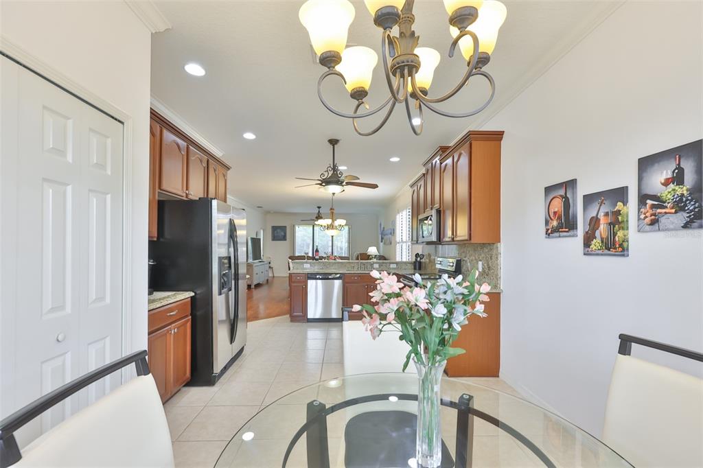 147 Silver Falls Drive Apollo Beach, FL 33572 - Photo 9 of 72
