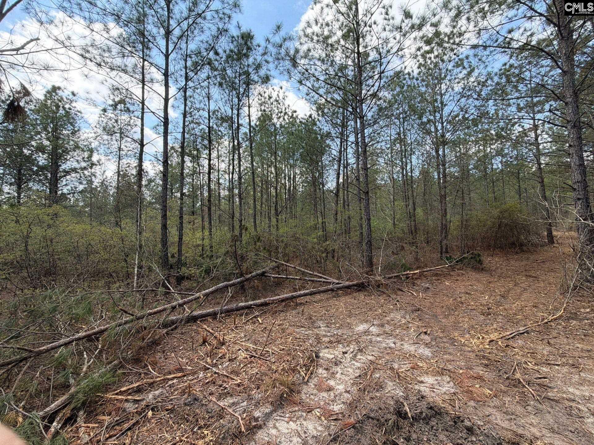 2 Mt Calvary Rd Ridge Spring, Unit CA 2 Ridge Spring, SC 29129 - Photo 23 of 29