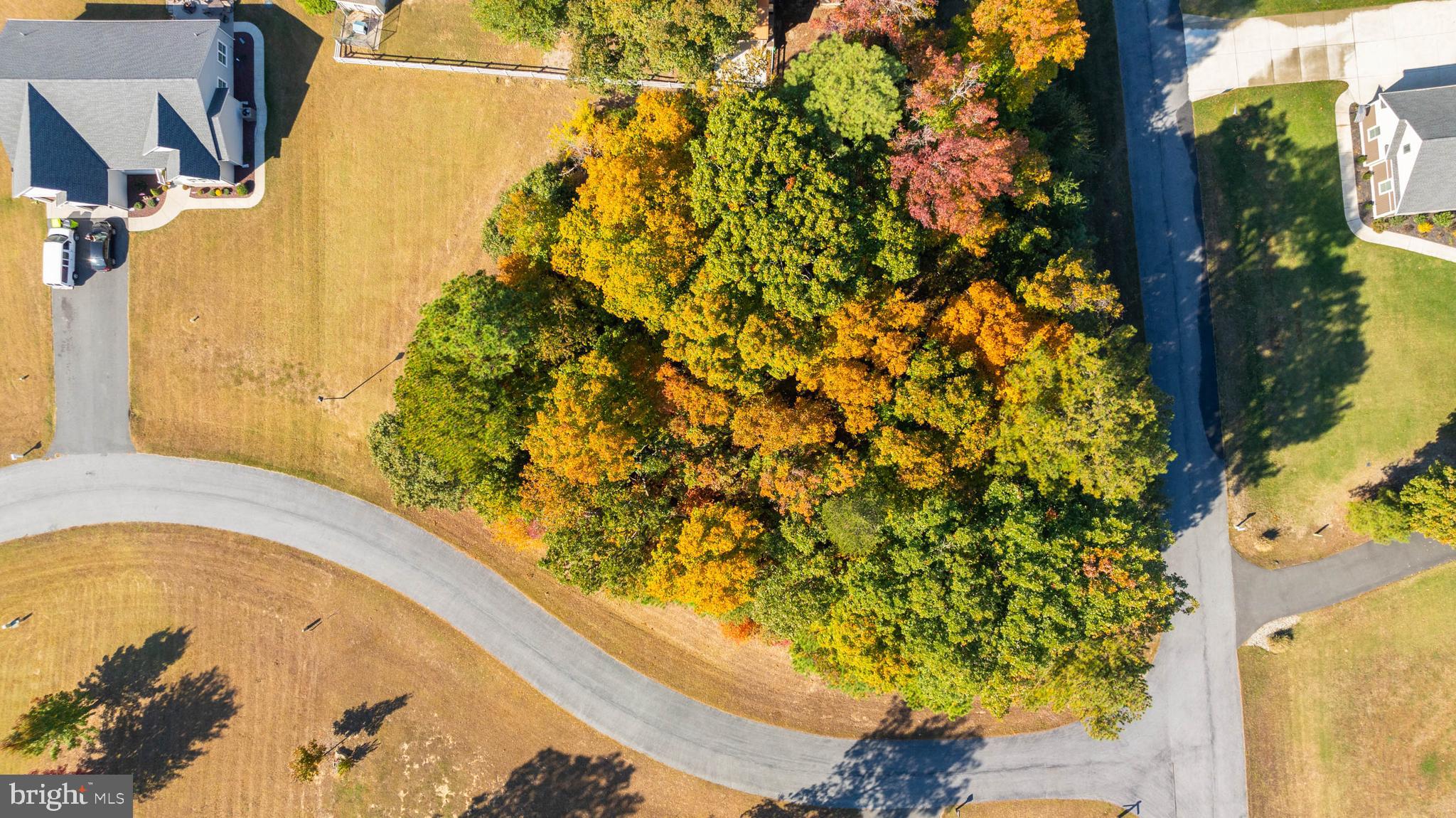Maple Street Milford, DE 19963 - Photo 3 of 13 Aerial View
