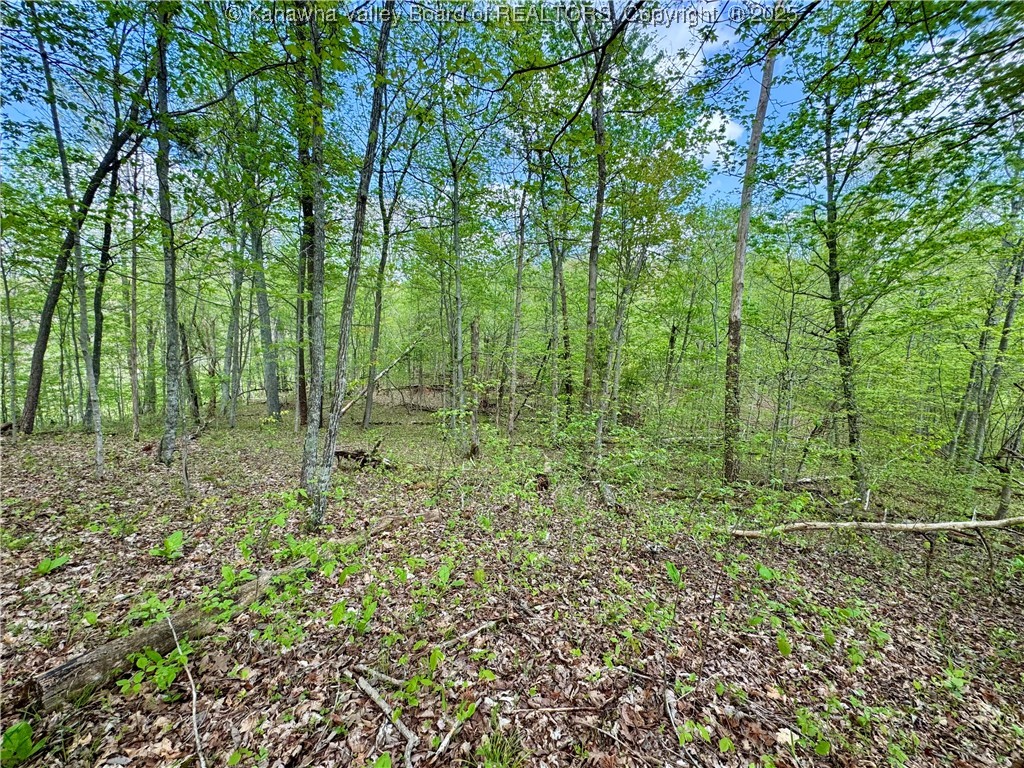 0 Sulug Road Leon, WV 25123 - Photo 13 of 18 Gallery Image 13