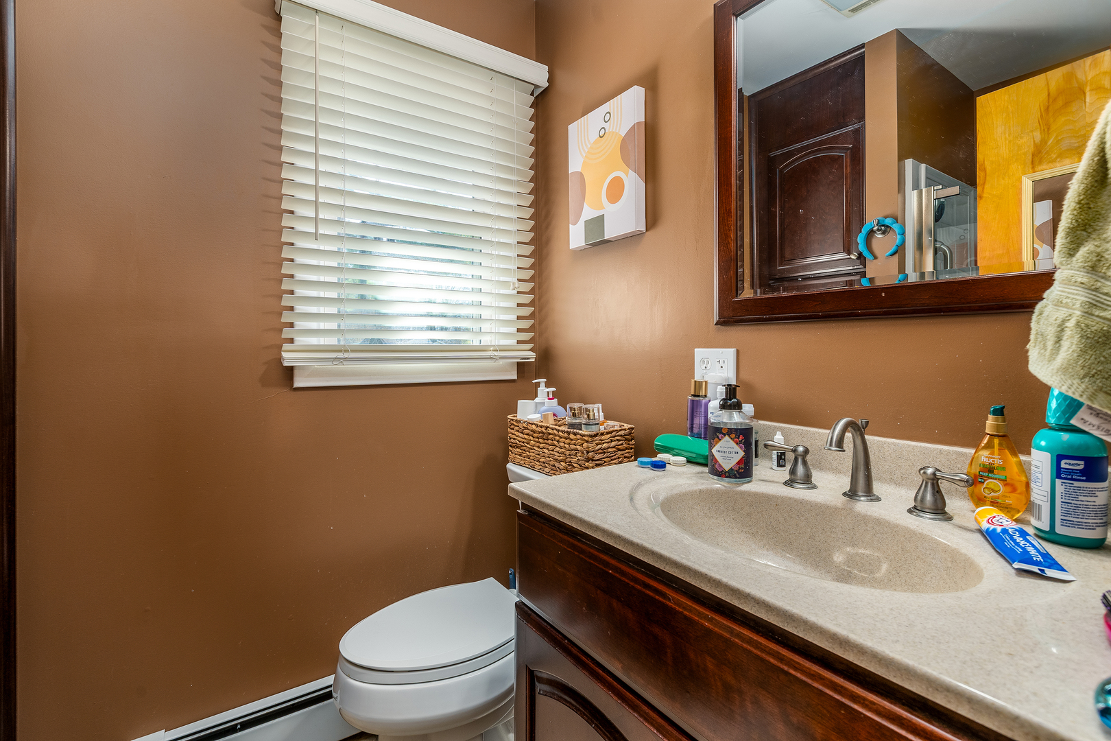 218 Blessing Circle Murphysboro, IL 62966 - Photo 19 of 40 a bathroom with a sink a toilet and mirror