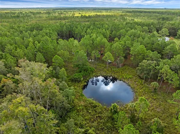 a view of a back yard