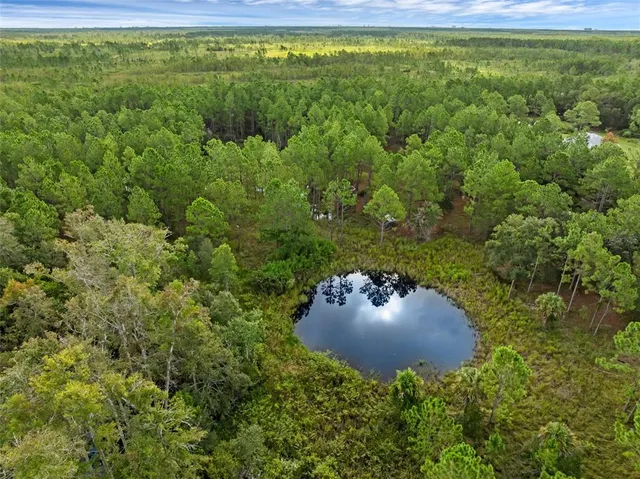 a view of a back yard