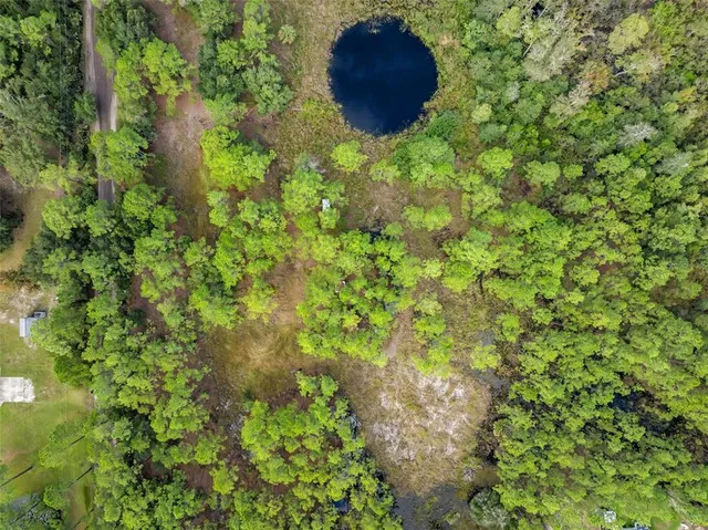 a view of a garden with trees