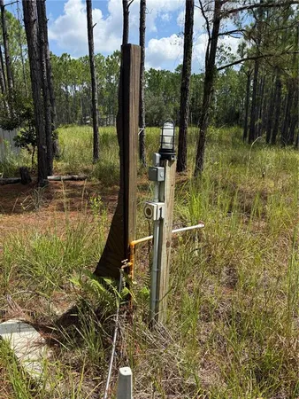 a view of outdoor space and yard