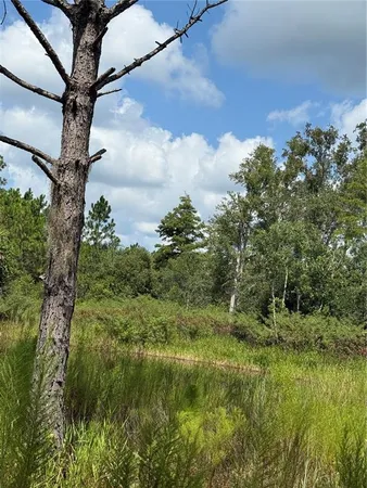 a view of lake with green space