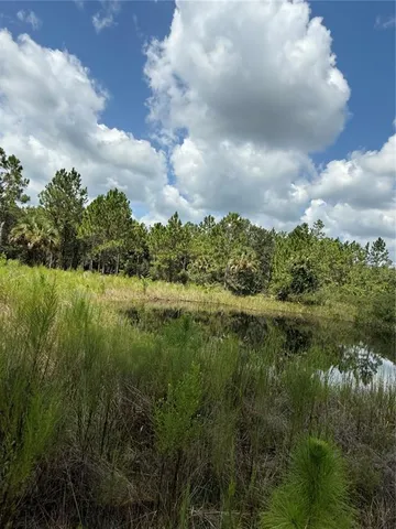a view of a yard with a tree