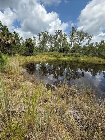 a view of a yard with a tree