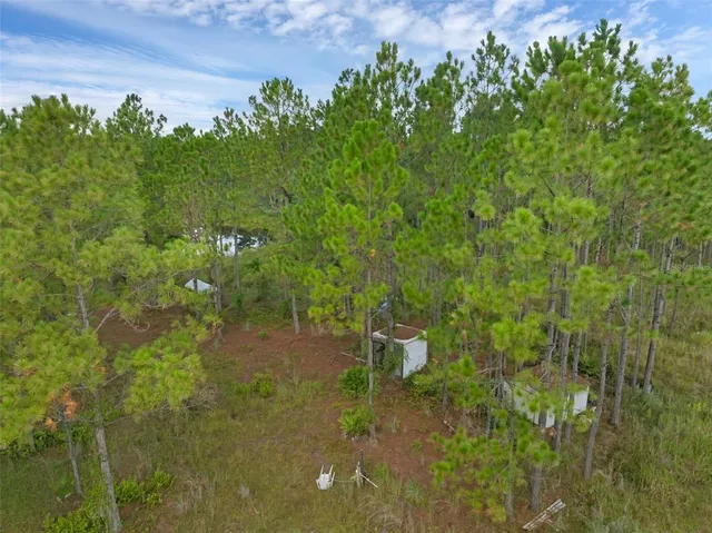 a view of a garden from a yard