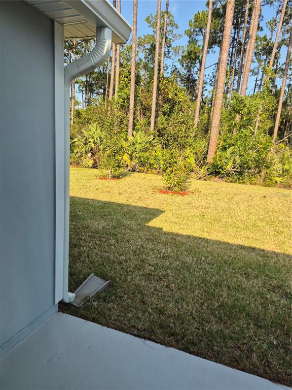 7 Ryall Lane, Unit B Palm Coast, FL 32164 - Photo 20 of 22 a view of beach from window