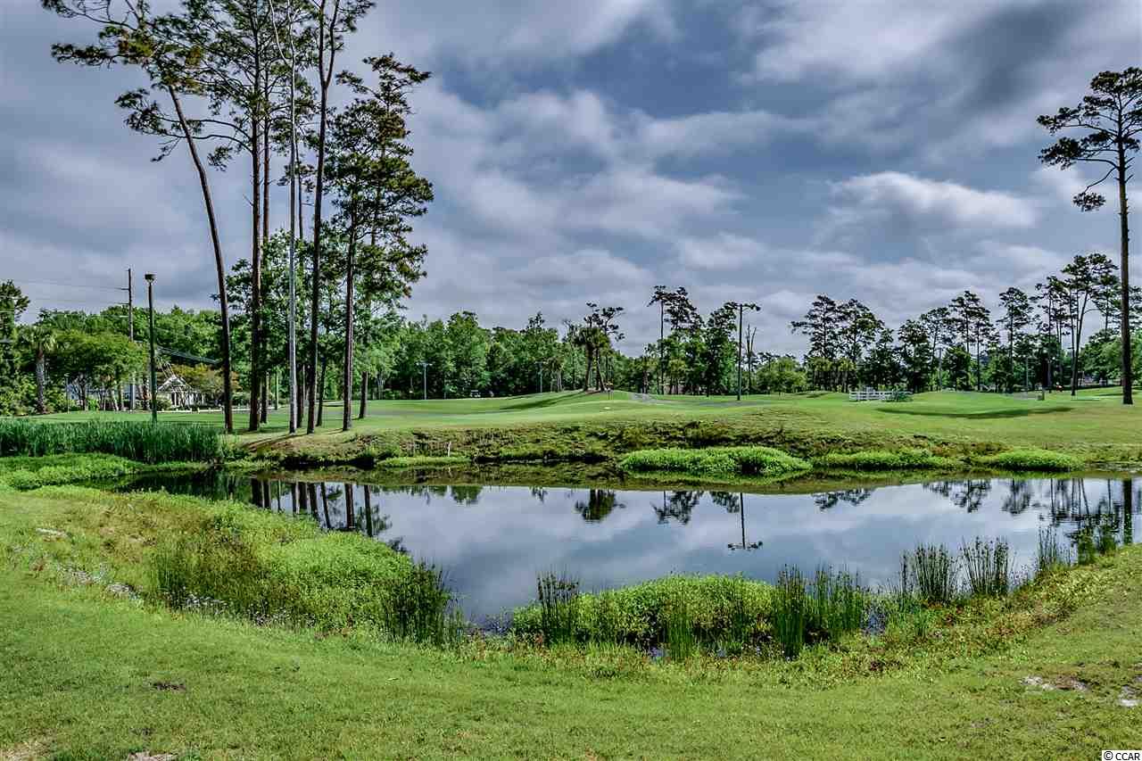 1029 Ray Costin Way, Unit 910 Murrells Inlet, SC 29576 - Photo 36 of 36 Gallery Image 36
