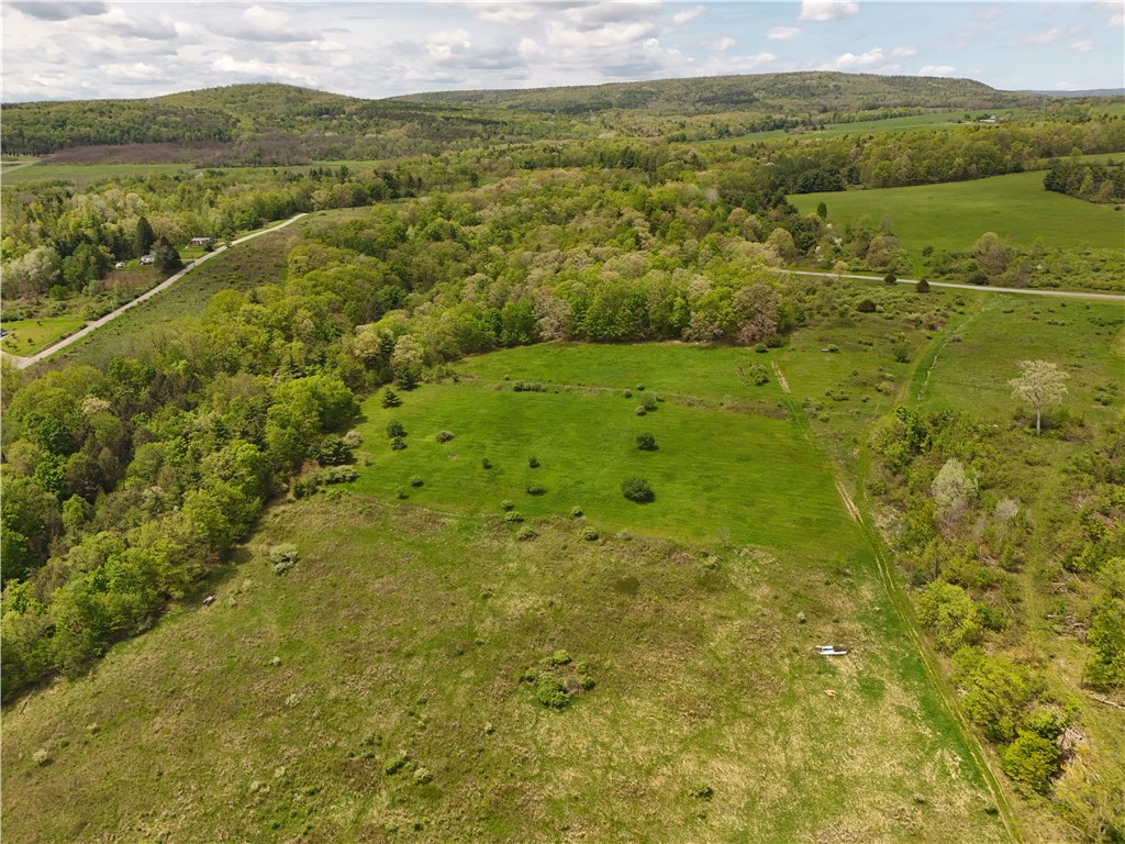 0 Middle Road Hammondsport, NY 14840 - Photo 18 of 20