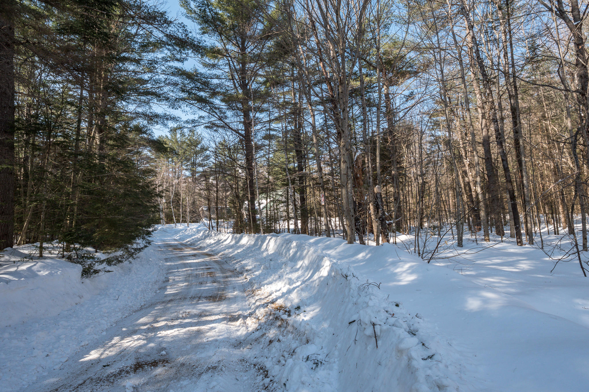 0 Fox Run Road Newry, ME 04261 - Photo 7 of 12 Coombs Lots-15
