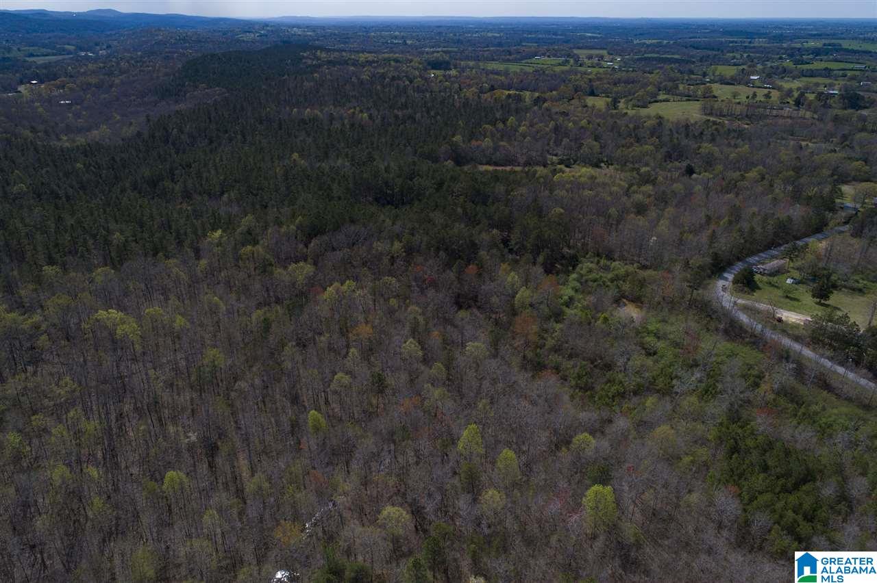 0 Mount Road Blountsville, AL 35031 - Photo 12 of 17