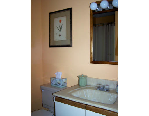 1 Mountain Road, Unit B Gill, MA 01354 - Photo 13 of 30 a bathroom with a sink and a mirror