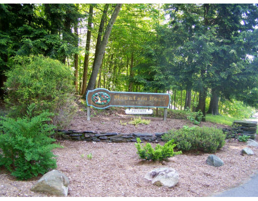1 Mountain Road, Unit B Gill, MA 01354 - Photo 28 of 30 a view of a park with large trees