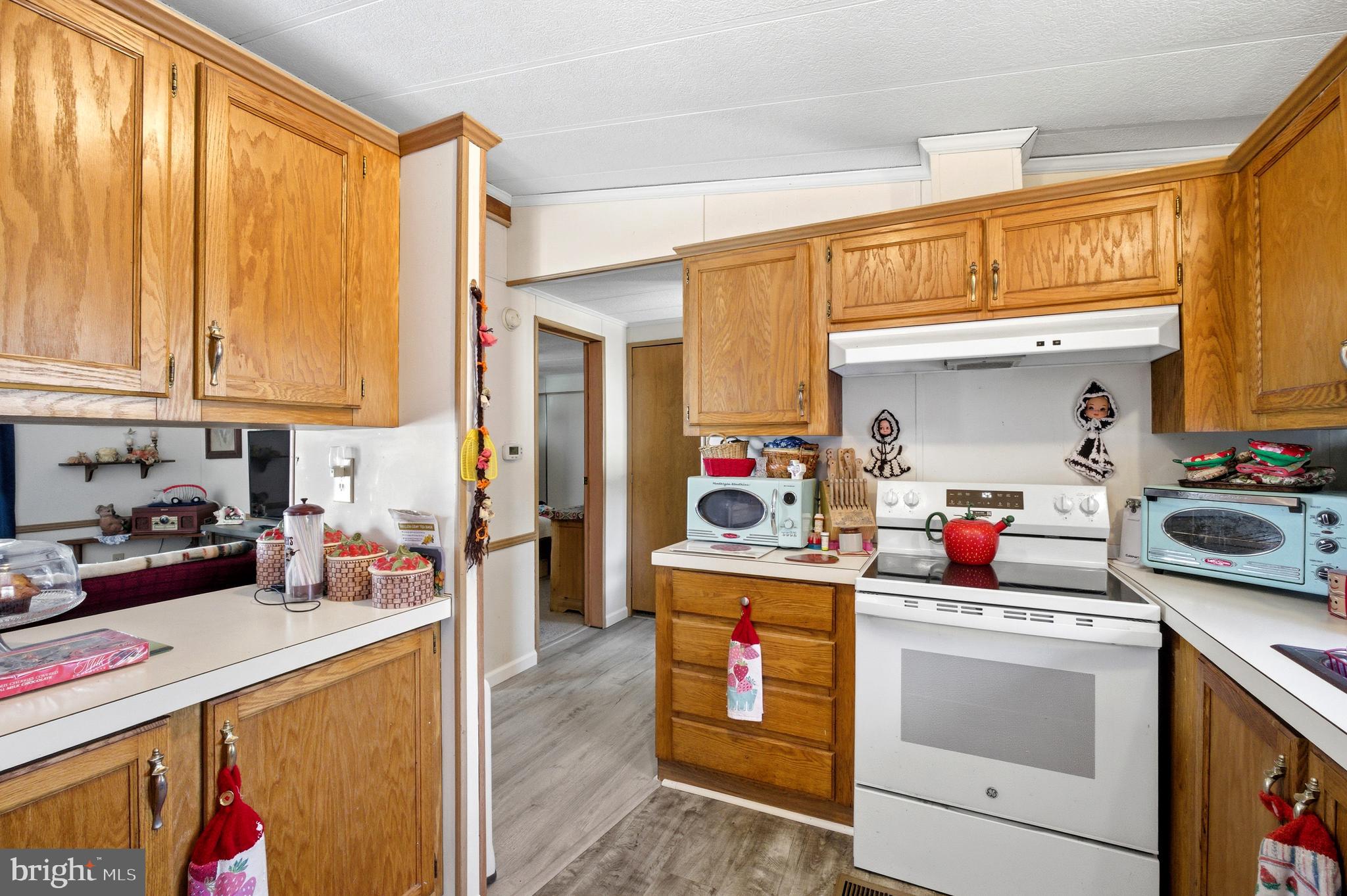 27401 Dillards Road Laurel, DE 19956 - Photo 6 of 24