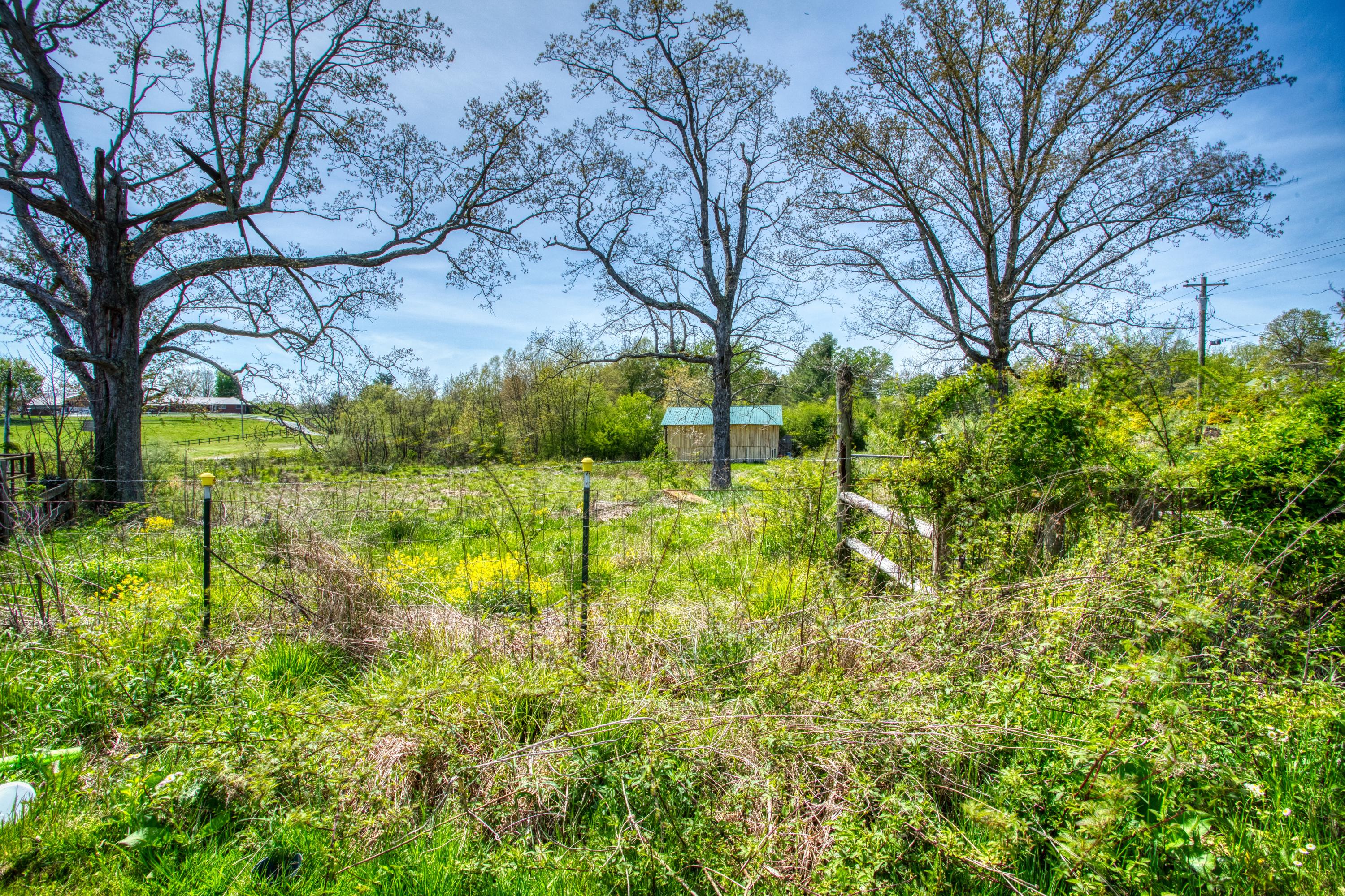 4126 Round Mountain Road Jamestown, TN 38556 - Photo 29 of 31 EK3A5880