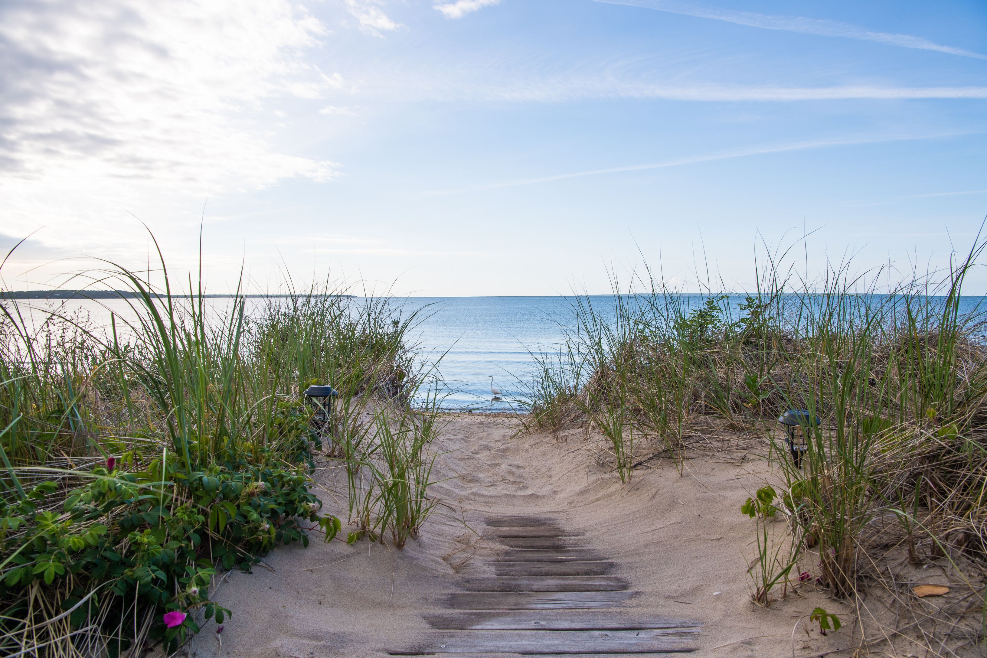 383 Cranberry Hole Road Amagansett, NY 11930 - Photo 27 of 32 a view of a yard