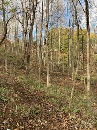 a view of a backyard of the house