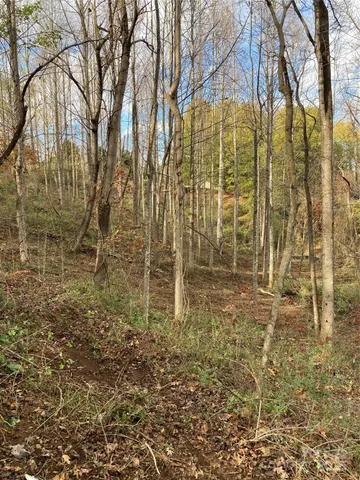 a view of a backyard of the house