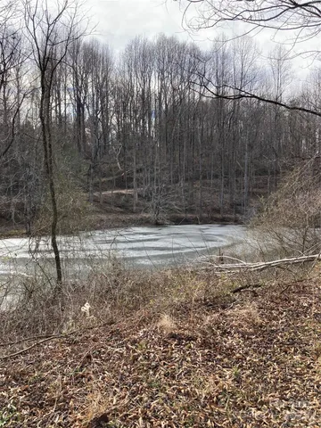 a view of a tree in the yard