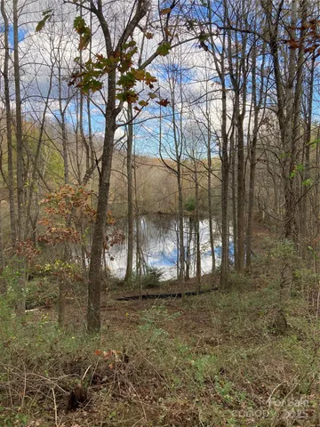 a view of a trees with wooden fence