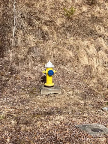 a view of a yard with a large tree