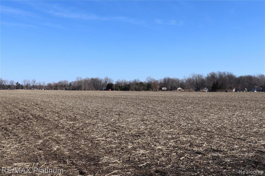 1 Willow Road Milan, MI 48160 - Photo 4 of 5
