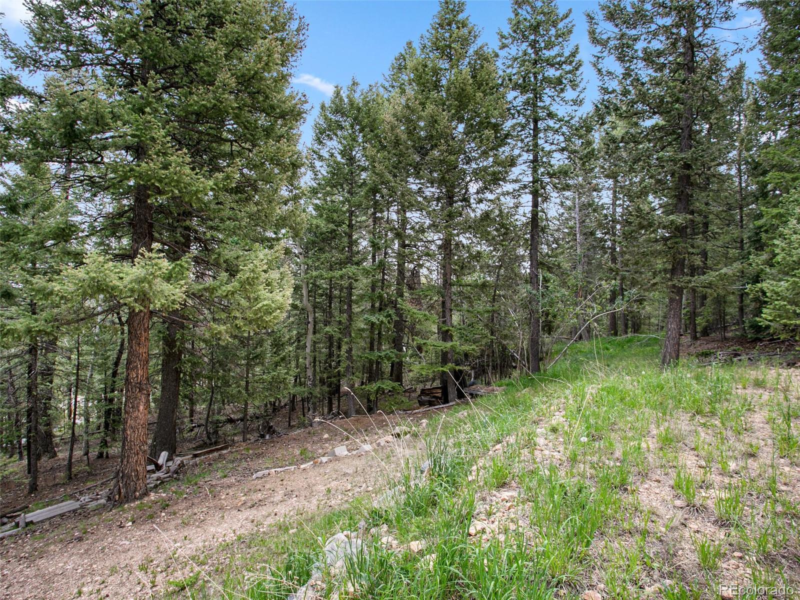 9691 South Warhawk Road Conifer, CO 80433 - Photo 33 of 37 Gallery Image 33