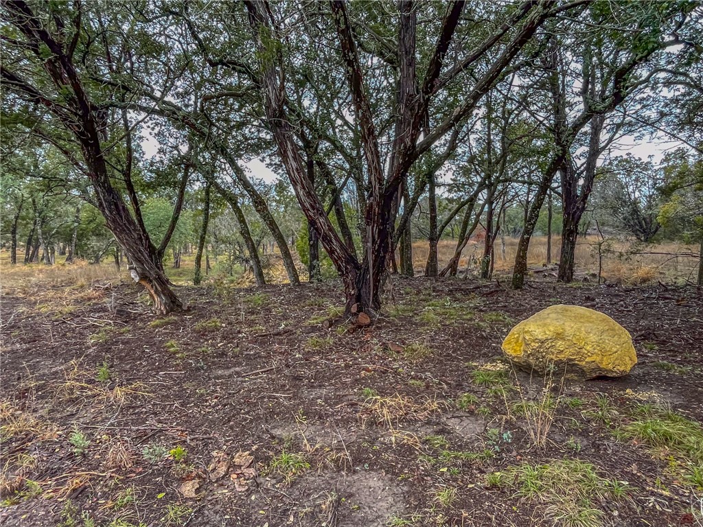 421 Rd Evant Tx 76525 Road Evant, TX 76525 - Photo 23 of 43