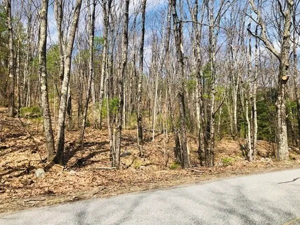 a view of a backyard of the house