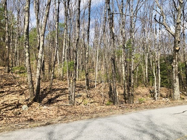 a view of a backyard of the house