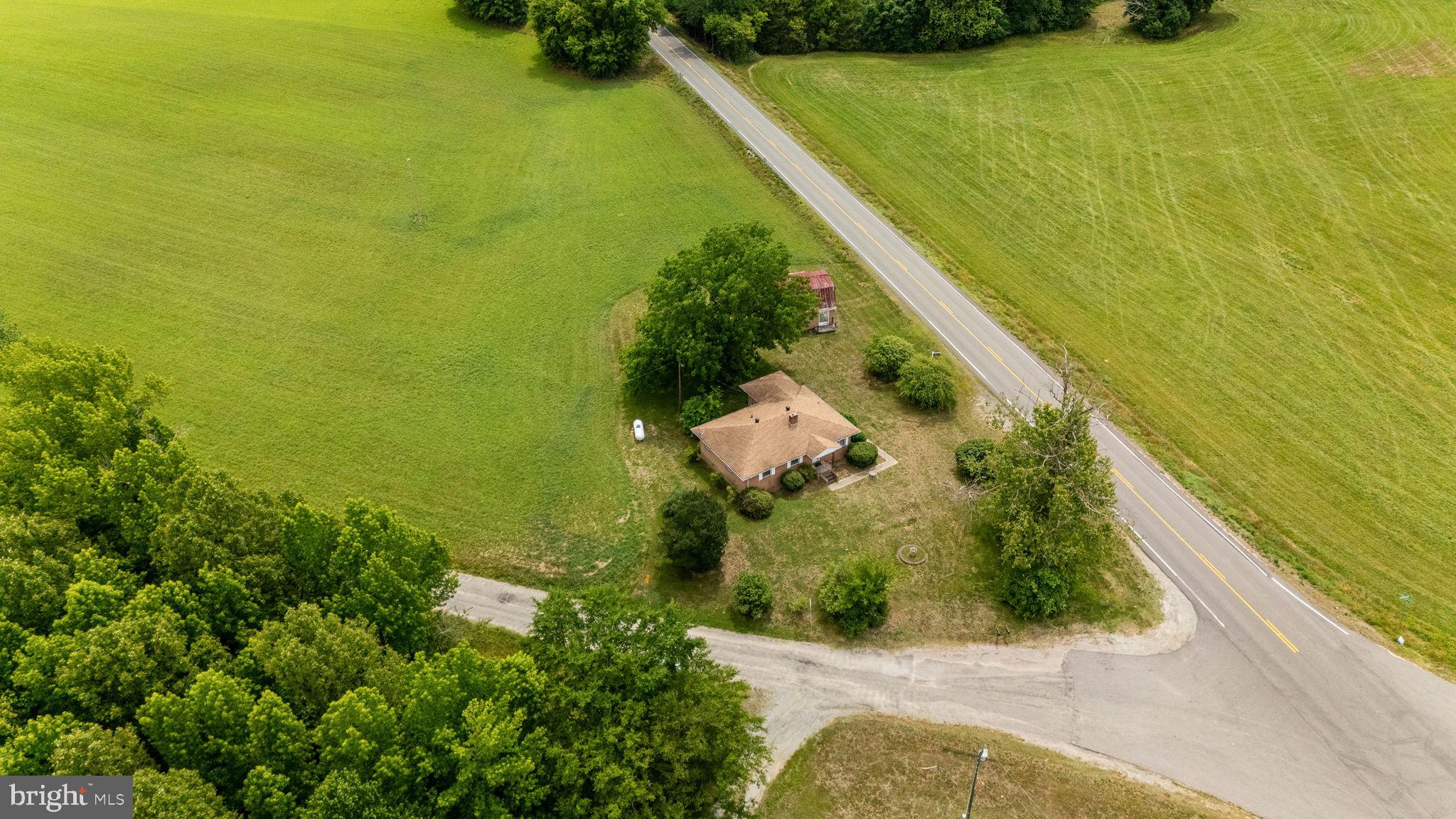 1440 Holly Farm Road Burkeville, VA 23922 - Photo 6 of 52 Charming home amidst lush greenery.