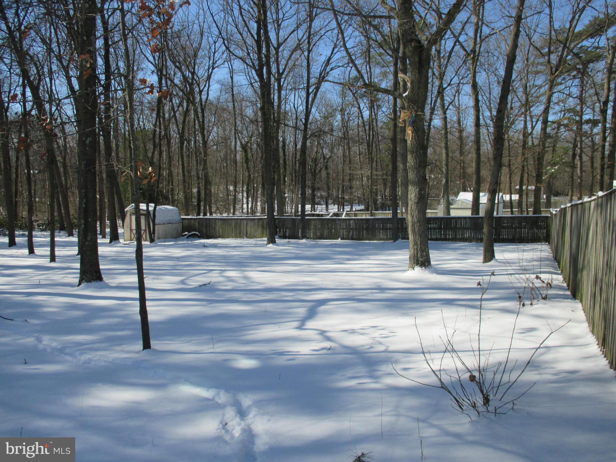 7734 Harmans Road Hanover, MD 21076 - Photo 21 of 23 View of Yard