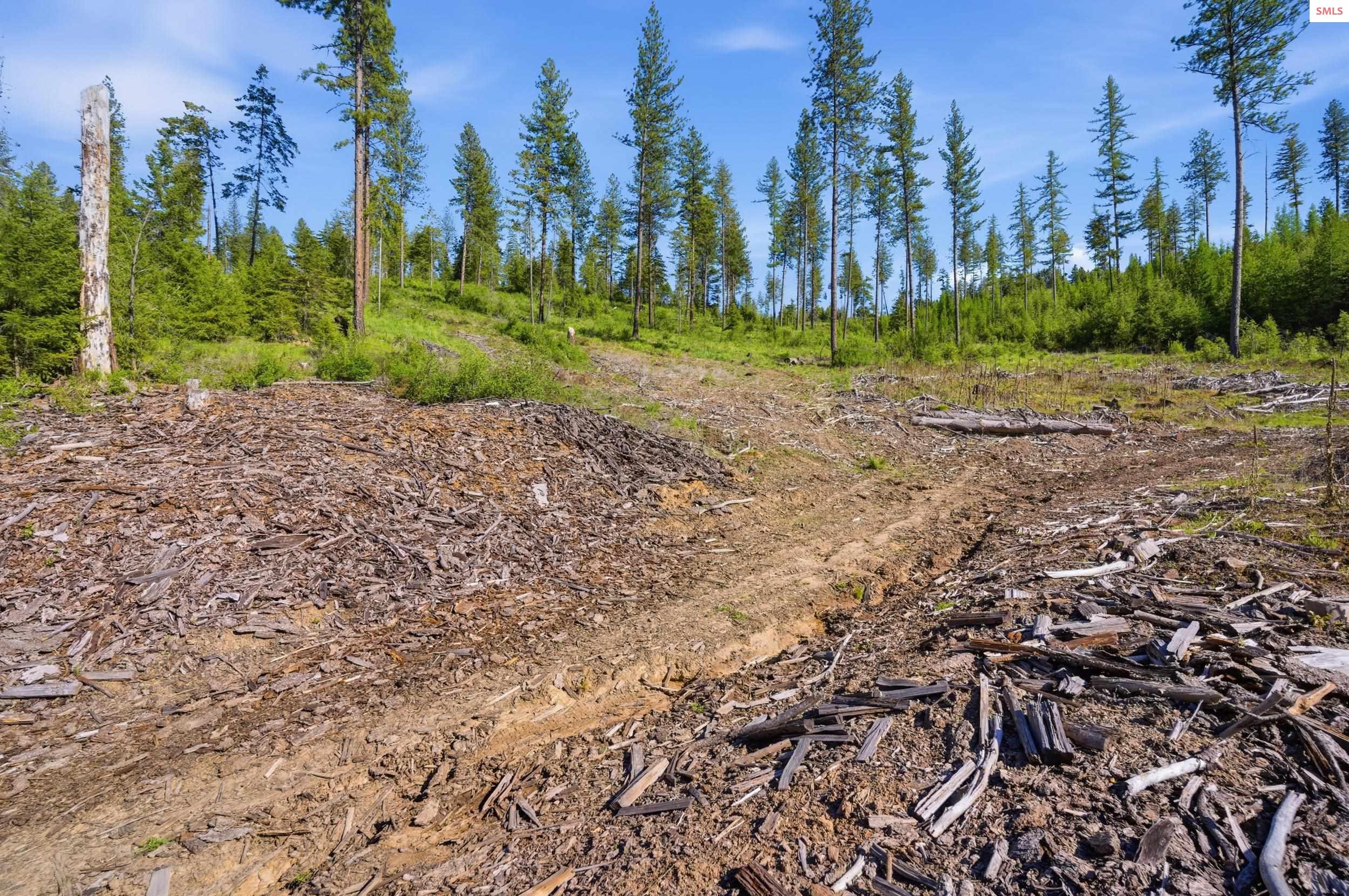 Nka Nka Stone Road Blanchard, ID 83804 - Photo 24 of 26 Gallery Image 24