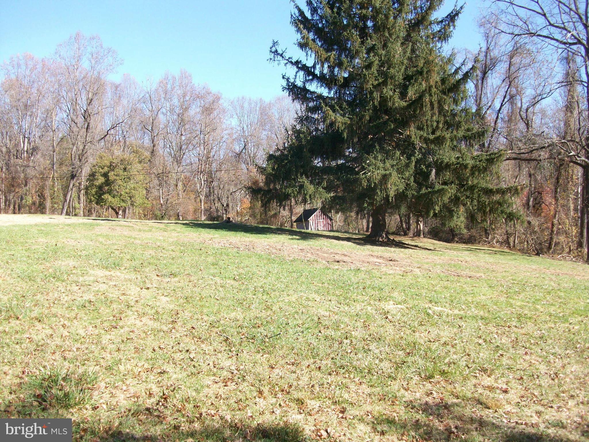 13000 Wainwright Road Highland, MD 20777 - Photo 2 of 11 a view of yard with tree in the background