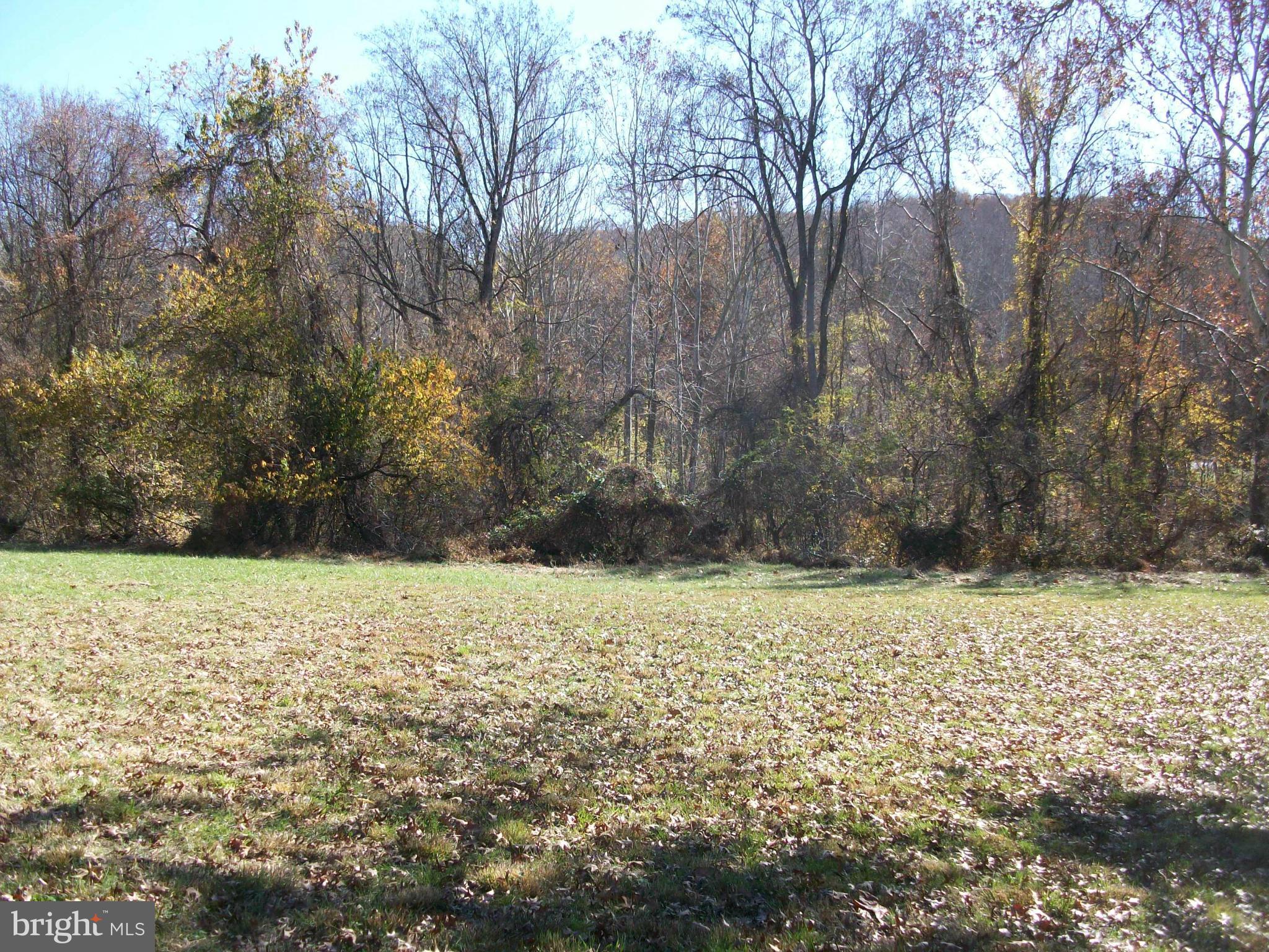 13000 Wainwright Road Highland, MD 20777 - Photo 3 of 11 a view of a yard with a tree