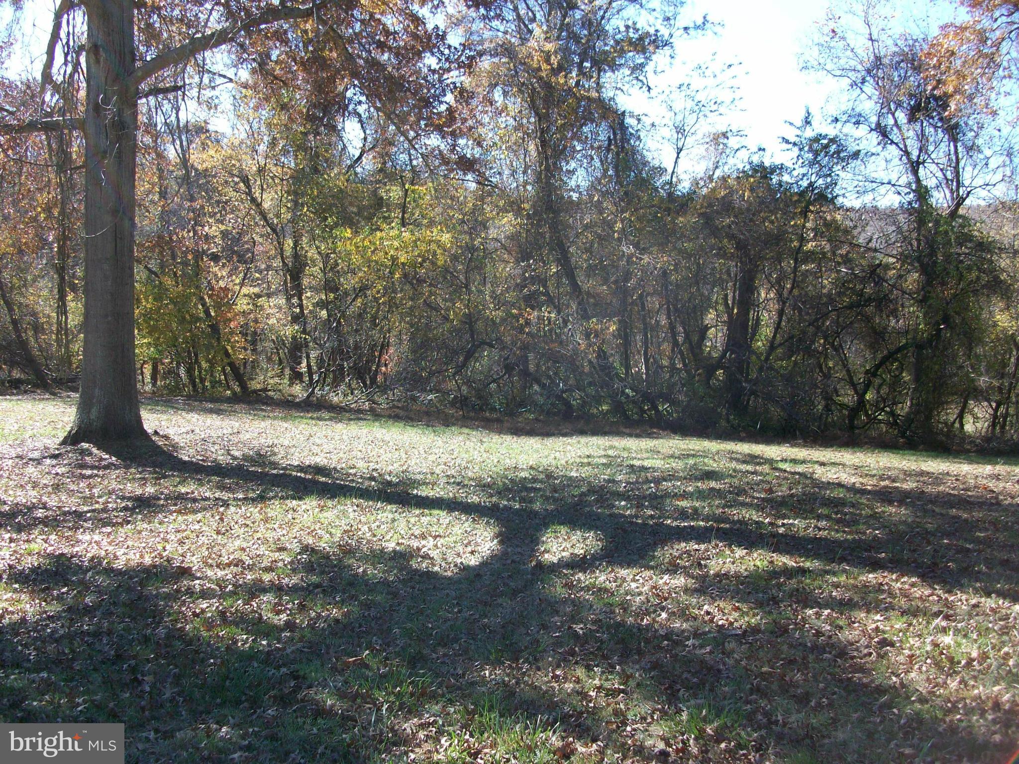 13000 Wainwright Road Highland, MD 20777 - Photo 4 of 11 a view of a yard with large trees