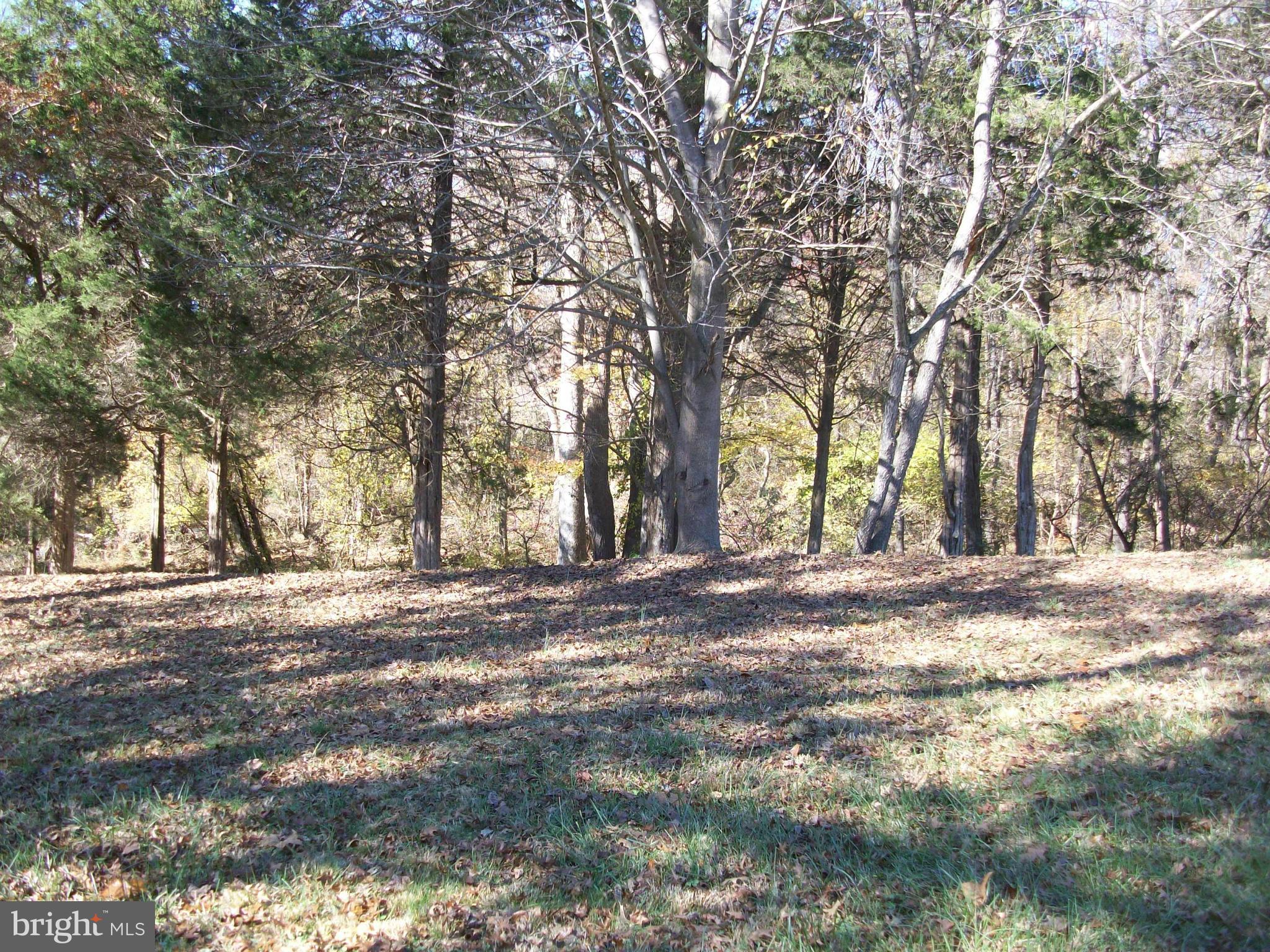 13000 Wainwright Road Highland, MD 20777 - Photo 5 of 11 a view of a yard with large trees