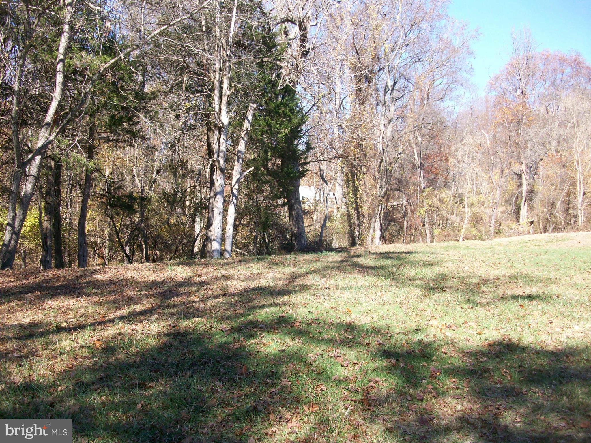 13000 Wainwright Road Highland, MD 20777 - Photo 6 of 11 a view of dirt yard with a large tree