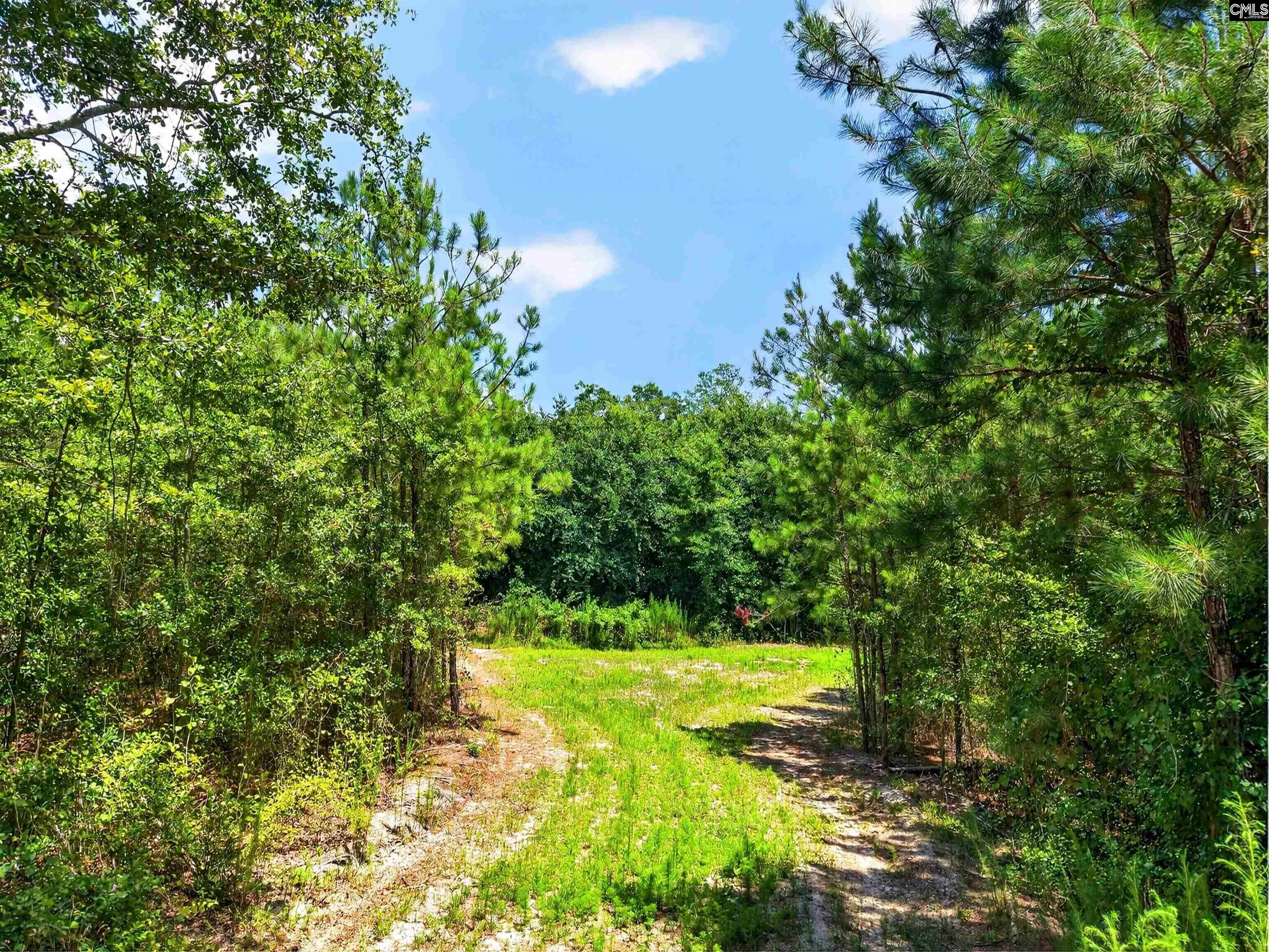 2215 Porter Road Cassatt, SC 29032 - Photo 35 of 37 Gallery Image 35